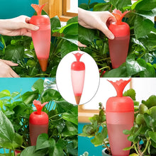 Self Watering Spike Plant Watering Globes And Automatic Plant Watering System (1 Pc) - Indigenous Shop