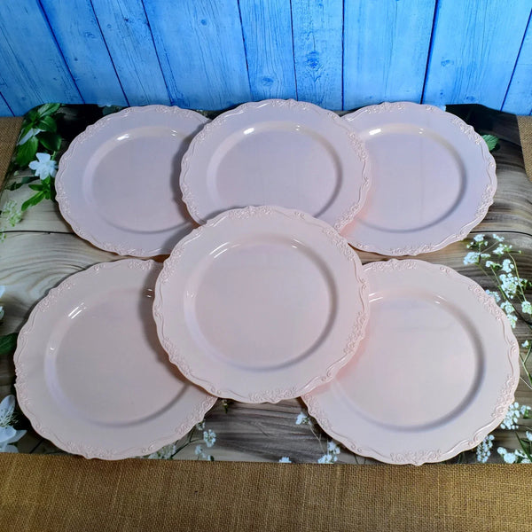 Plastic Dinner Plates Wedding Birthday Party Tableware Supplies (6 Pcs Set) - Indigenous Shop