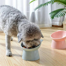 Plastic Multipurpose Bowl, Food Bowls (1 Pc) - Indigenous Shop