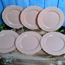 Plastic Dinner Plates Wedding Birthday Party Tableware Supplies (6 Pcs Set) - Indigenous Shop