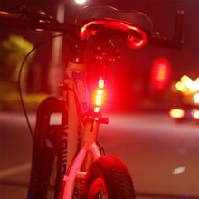 03_bicycleled - Indigenous Shop