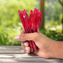 Red Colour Gel Pen Set, Set of 12 Pcs - Indigenous Shop