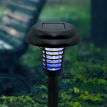 03_led-light_8ed81b29-3983-4c5a-9b66-65fc1422742d - Indigenous Shop