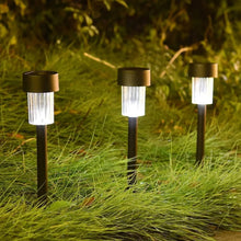 03_led_7cf960a6-ef57-450e-85f8-19225c351b96 - Indigenous Shop