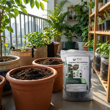 Organic Plant