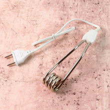 Portable immersion heater