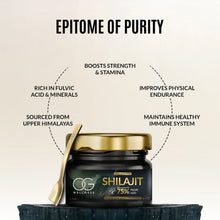 OG Wellness Pure Himalayan Shilajit Resin (20 GM / 1 Pc) - Indigenous Shop