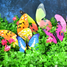 04_butterfly - Indigenous Shop