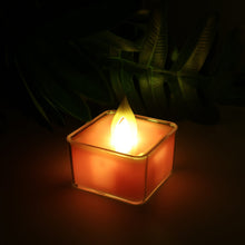 04_diya - Indigenous Shop