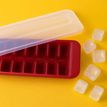 04_icetray - Indigenous Shop