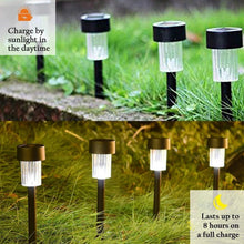04_led_f916056c-8e9c-4b80-91fd-2d8456d2343b - Indigenous Shop