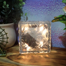 04_light_e2a86dea-9094-46e0-9f04-f659a46bf9c7 - Indigenous Shop