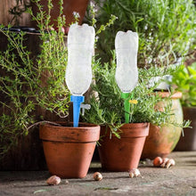 05_1c4d5d17-53bc-4b12-b80c-b2542273578b - Indigenous Shop