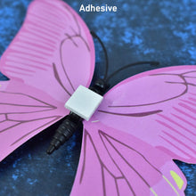 05_butterfly - Indigenous Shop