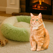 Meow Melt