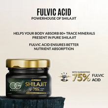 OG Wellness Pure Himalayan Shilajit Resin (20 GM / 1 Pc) - Indigenous Shop