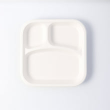 Dinner Plate