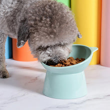Plastic Multipurpose Bowl, Food Bowls (1 Pc) - Indigenous Shop