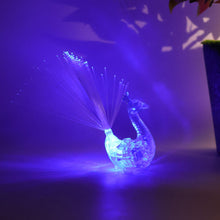 06_light_1df2c1a5-6791-4d80-9c7c-3f689eafc967 - Indigenous Shop