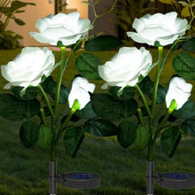 06_solar-light_52c26581-8977-461d-8644-a1875ad2abf7 - Indigenous Shop