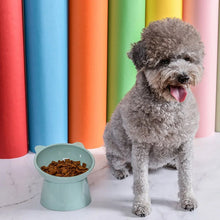Plastic Multipurpose Bowl, Food Bowls (1 Pc) - Indigenous Shop