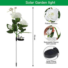07_solar-light_79c39d10-9464-43a8-bbbb-c534ce0375c5 - Indigenous Shop