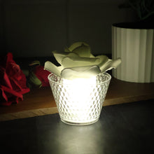 08_light_36a1b872-2d80-4a8a-b2bb-a787752caf1f - Indigenous Shop