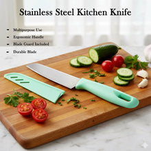 11004_kitchen_knife_with_ergonomic_handle - Indigenous Shop