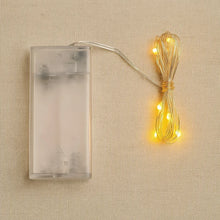 13988_multi_led_copper_wire_string - Indigenous Shop