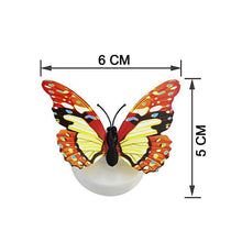 4_2418b47d-9dea-43f3-b10c-aa03cd264c89 - Indigenous Shop