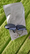 8f3140c4-ee89-45a0-8288-d5c1cbd1e9ff - Indigenous Shop