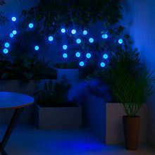 BlueSolarLight-03 - Indigenous Shop