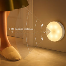Body-Induction-Lamp-06 - Indigenous Shop