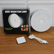 Body-Induction-Lamp-08 - Indigenous Shop