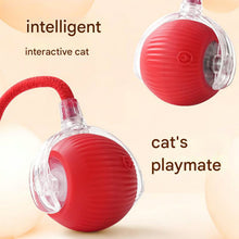 Cat-Toy-Ball-02 - Indigenous Shop