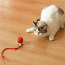 Cat-Toy-Ball-03 - Indigenous Shop