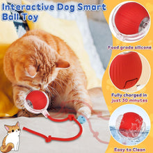 Cat-Toy-Ball-04 - Indigenous Shop