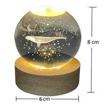 Crystal-Ball-06_5ee1388b-0b31-4143-a2f5-7f1e2355080c - Indigenous Shop