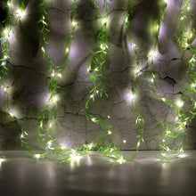 Decoration-Lighting-02 - Indigenous Shop