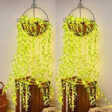 Decoration-Lighting-03 - Indigenous Shop