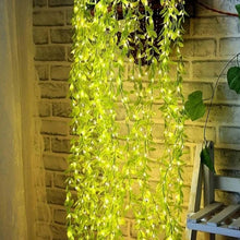 Decoration-Lighting-04 - Indigenous Shop