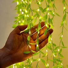 Decoration-Lighting-06 - Indigenous Shop