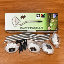 DimondGardenLight-Liveimage - Indigenous Shop
