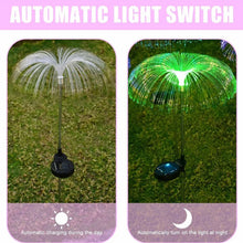 JellyfishLights-03 - Indigenous Shop