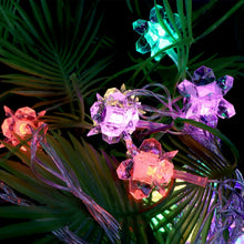 Light-03_5d9a37cb-4b25-4be7-81b2-85990321da9e - Indigenous Shop