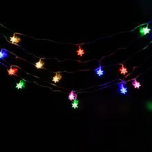 Light-03_9e11ef22-42c1-48a6-84e0-188d0bb21da4 - Indigenous Shop
