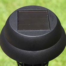 MosquitoTrap-02 - Indigenous Shop