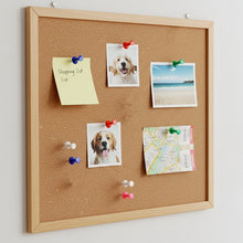 Pins-And-Clips-Set-02 - Indigenous Shop
