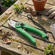 Stainless-Steel-Garden-Scissors_-flower-cutter-07 - Indigenous Shop