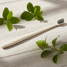 Toothbrush-03_6c64635a-3f3e-4144-a199-4e27a46f909a - Indigenous Shop